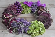 bloemen en planten vvbvanbree     1125